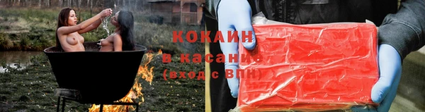 ПСИЛОЦИБИНОВЫЕ ГРИБЫ Вязники